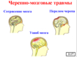 Основы медицинских знаний - Мобильный комплекс для обучения и контроля знаний по ОБЖ - Учебный материал - Учебные фильмы - Кабинеты по охране труда kabinetot.ru